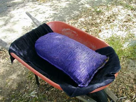 Sacs d’écrevisses prêts pour le boil