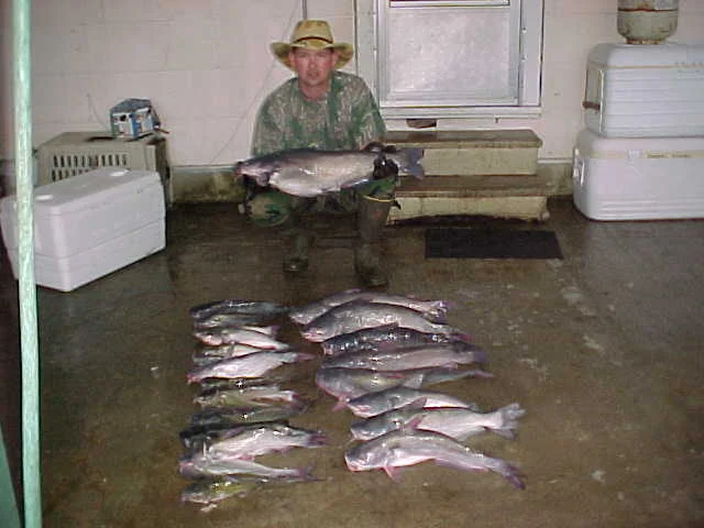 Catfish catch