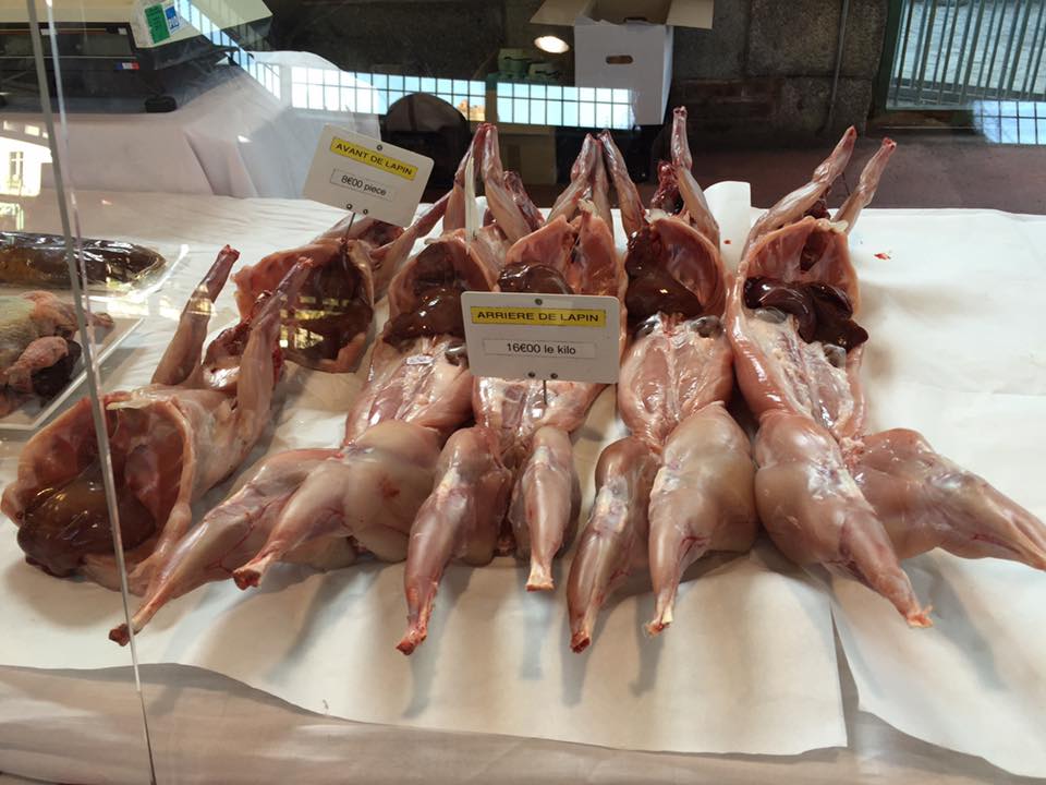 Wild Rabbit Gumbo with Oysters