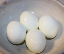 Boiled Eggs