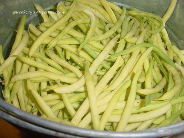 Yellow Beans