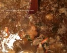 Seafood Catfish Gumbo 