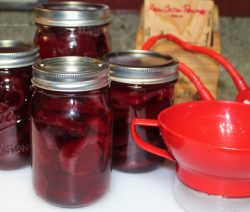 Pickled Beets with Onions