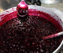 Blueberry Topping for Cheesecake