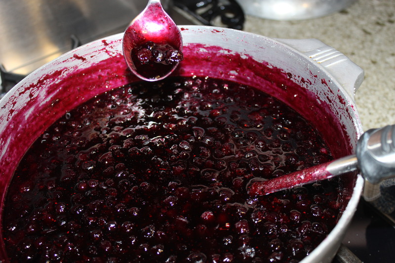 Blueberry Jam (Low Sugar)