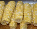 Freezing Corn on the Cob