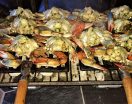 Shrimp Stuffed Crabs 